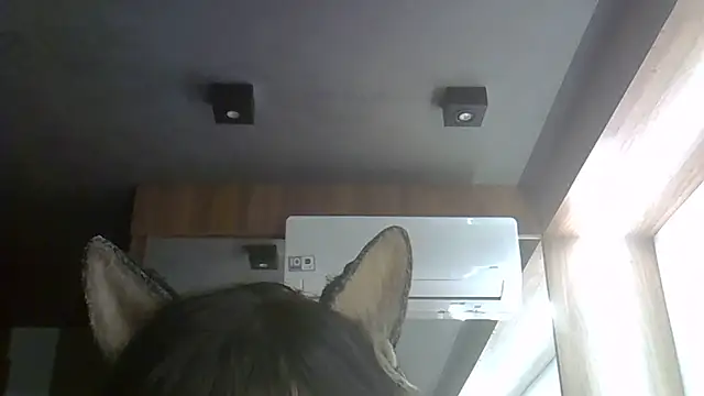 Skinny-Kitten online show from June 16, 4:37 am