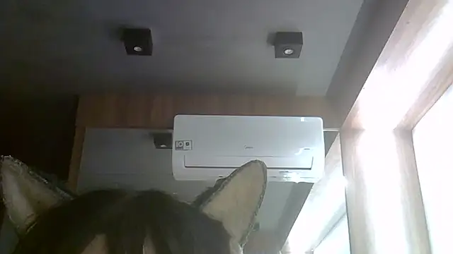 Skinny-Kitten online show from July 24, 4:11 am