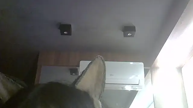 Skinny-Kitten online show from July 30, 1:15 am